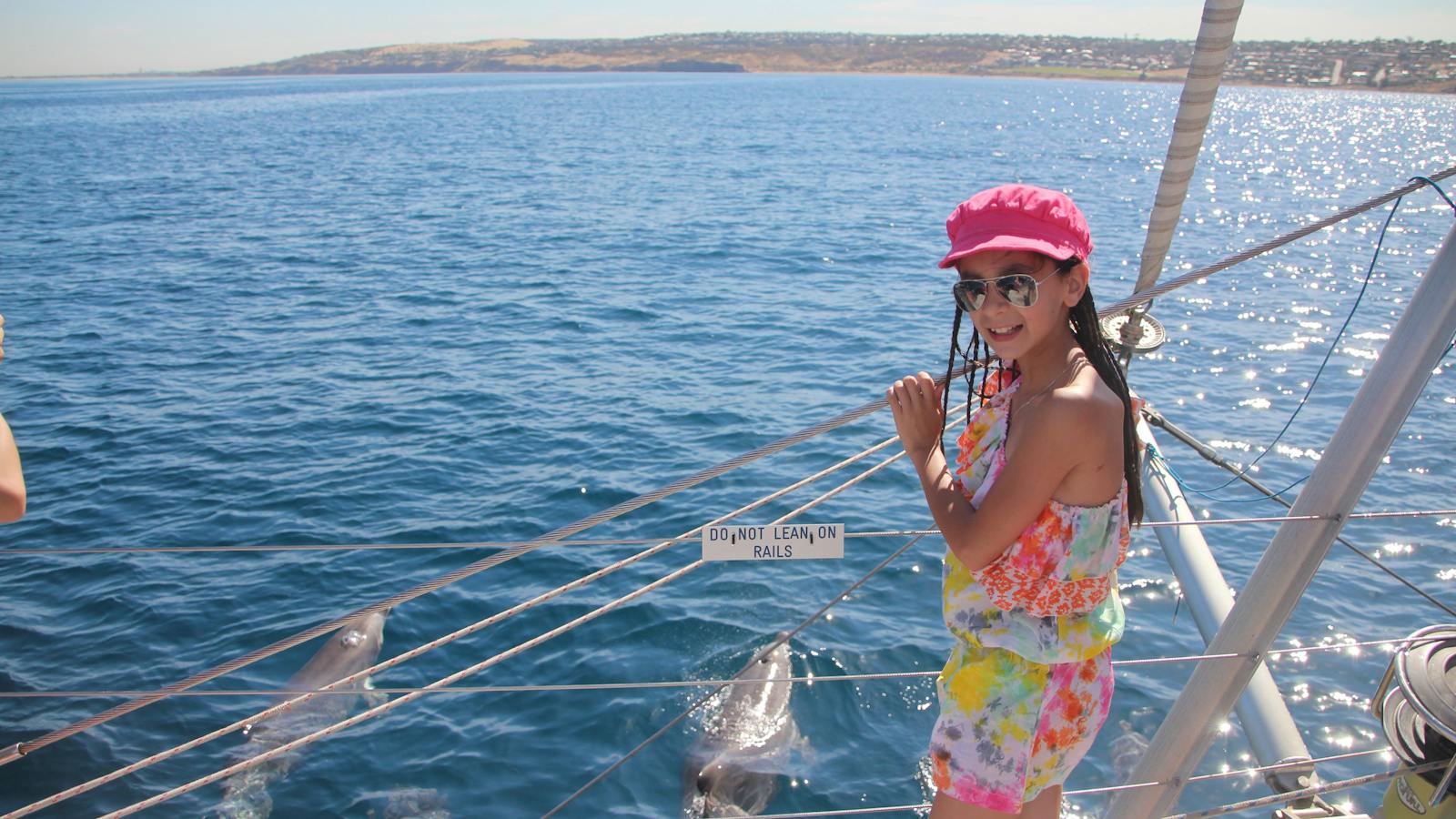 Dolphins bow riding