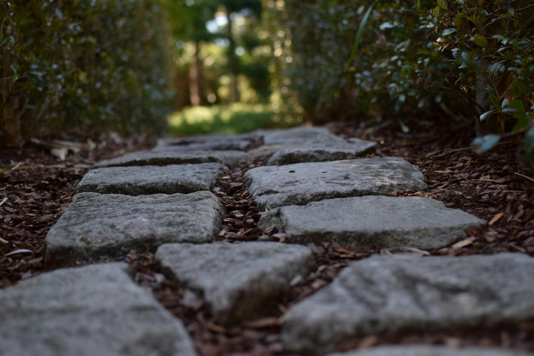 Nerima Gardens Japanese Tea Ceremony Experience