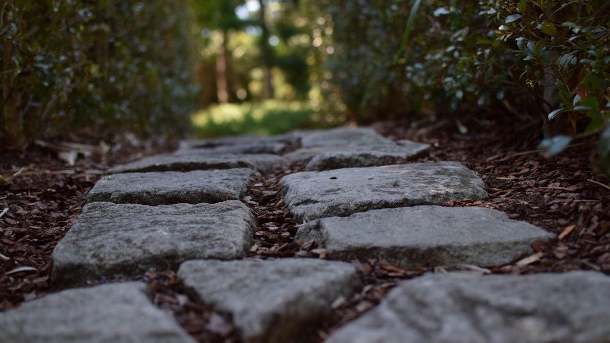 Nerima Gardens | Ipswich