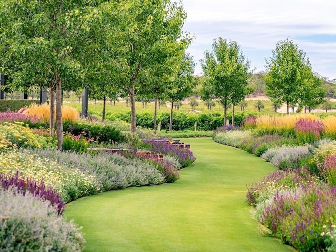 Barossa Valley Estate Cellar Door Gardens