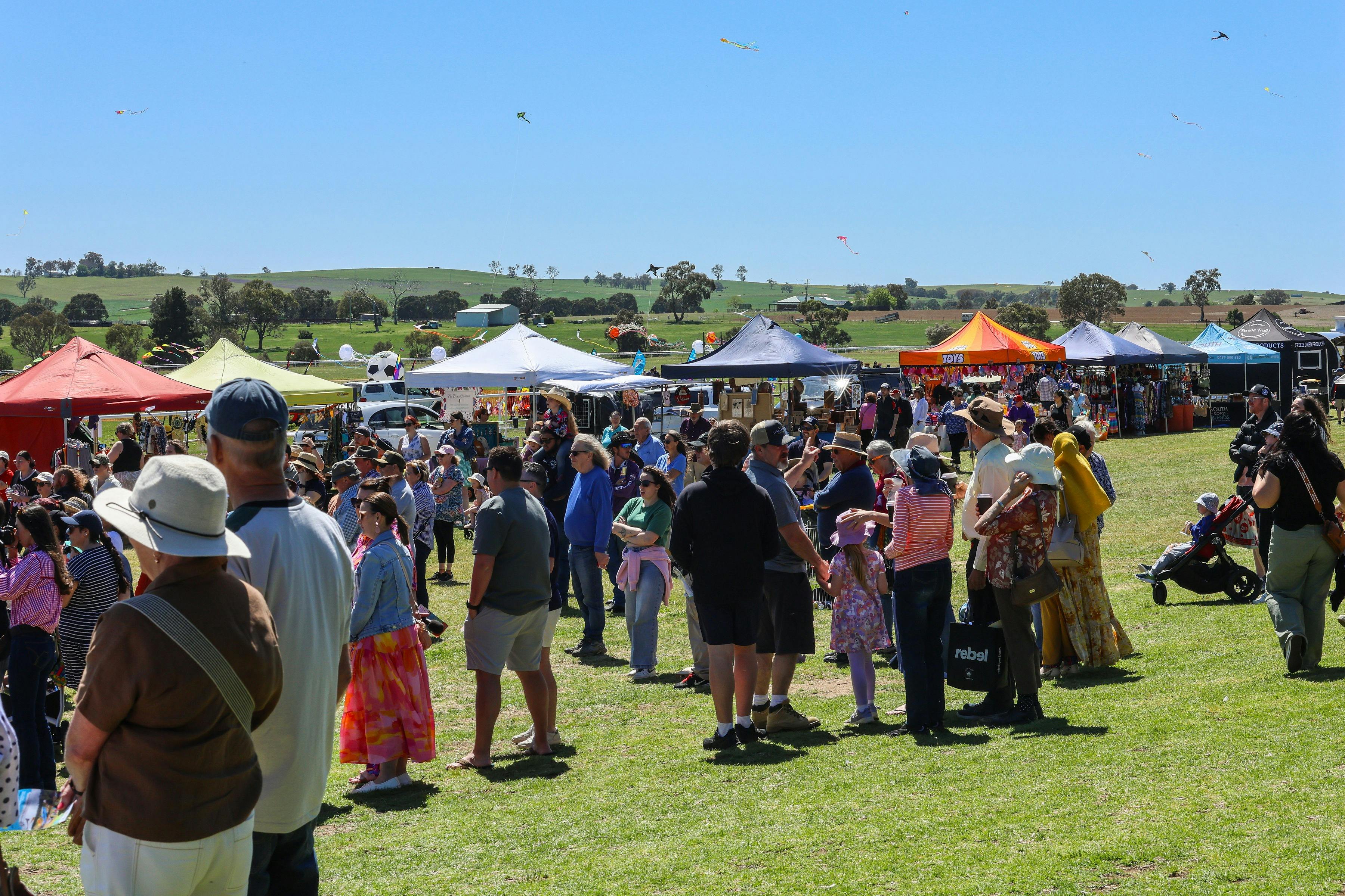 A large crowd of people wandering the festival with a line of market stalls.