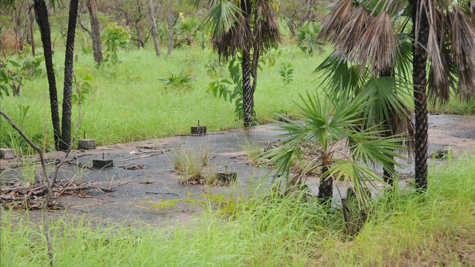 WWII Noonamah Railway Siding and Stores Depot