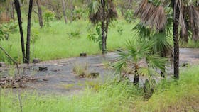 foundation slabs