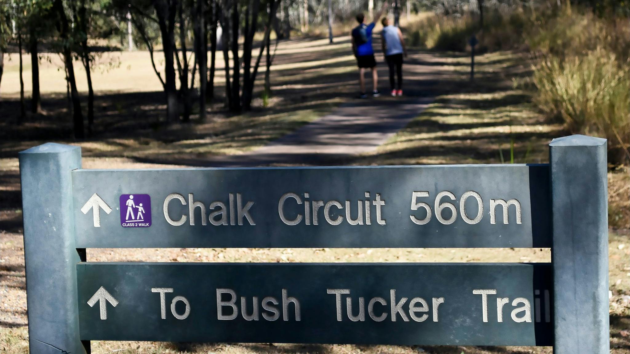 Chalk Circuit
