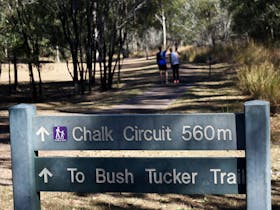 Chalk Circuit