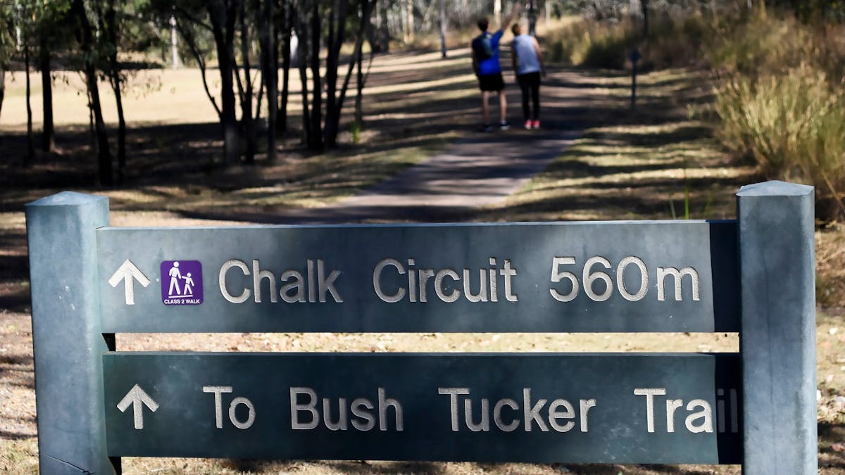 Chalk Circuit