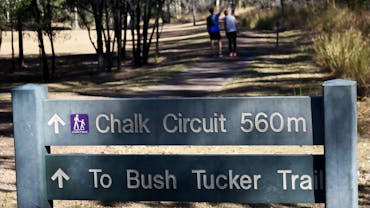 Chalk Circuit