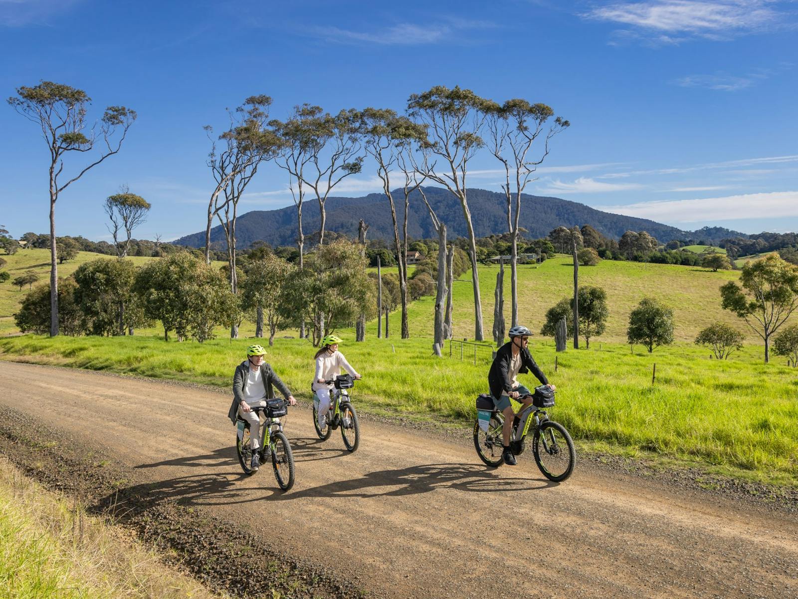 Southbound Escapes E-bike Tour