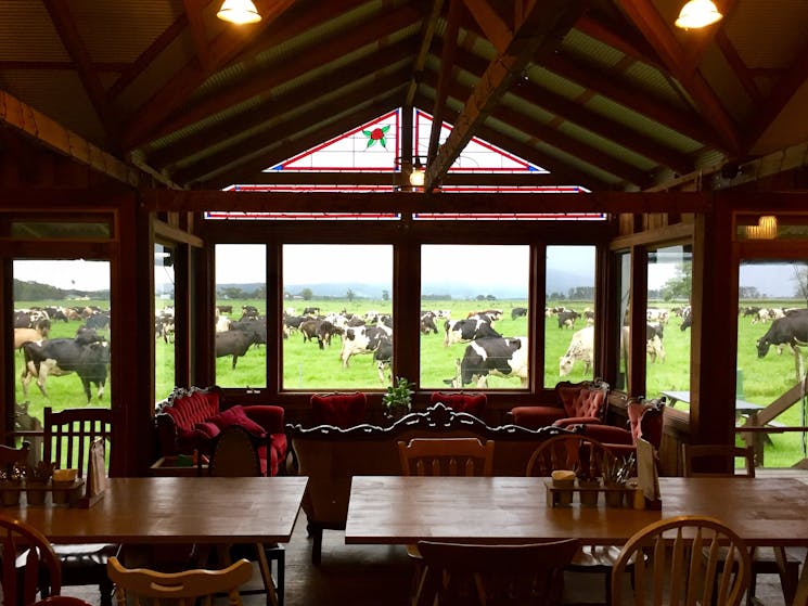 View across the farms.