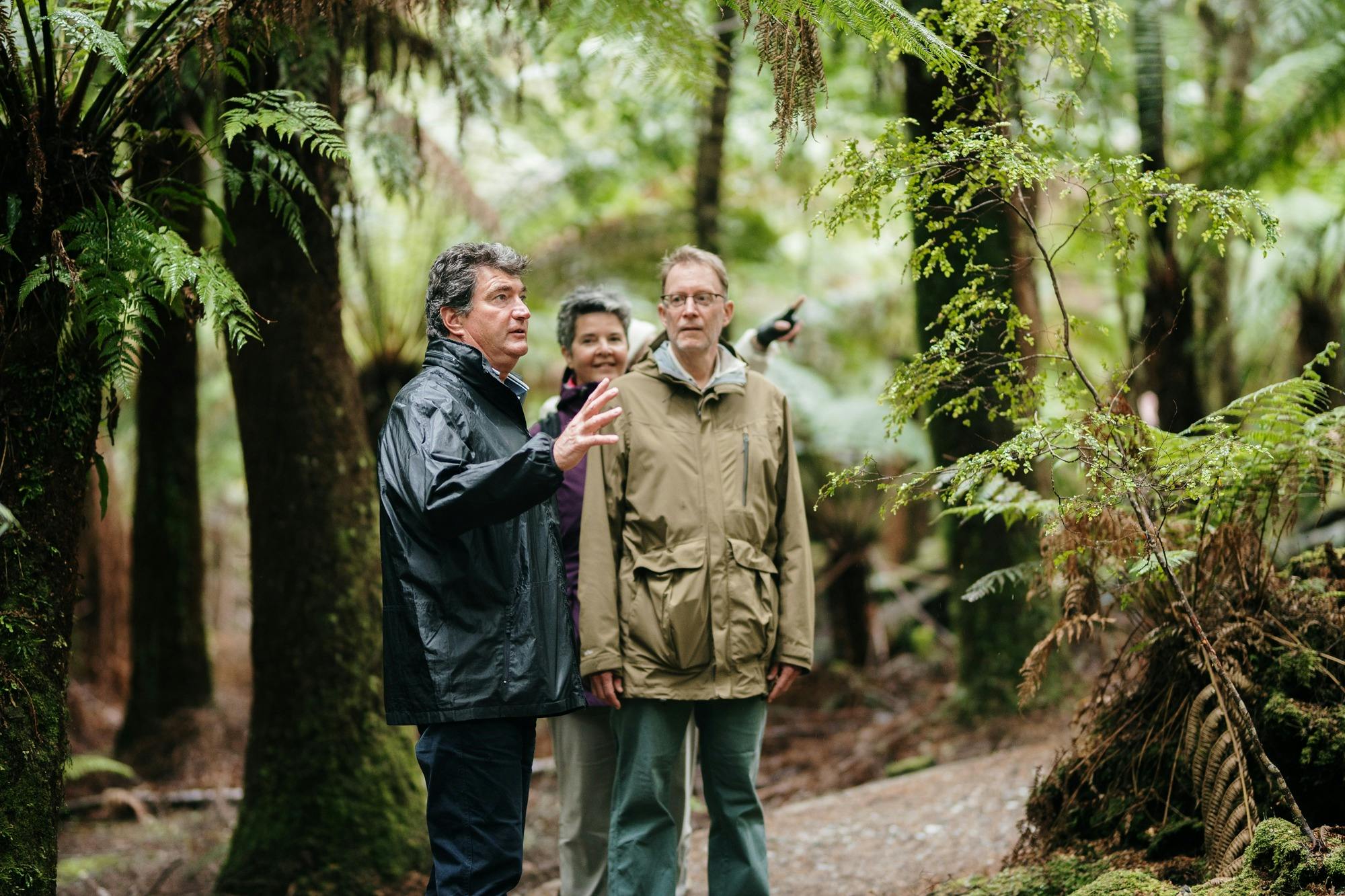 Couple walking through the rainforest talking with Rob