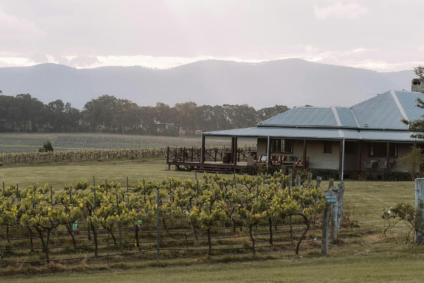 Our beautiful homestead