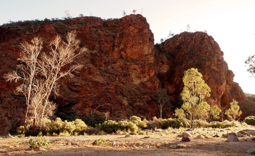 Arkaroola Under the Stars With The Stars