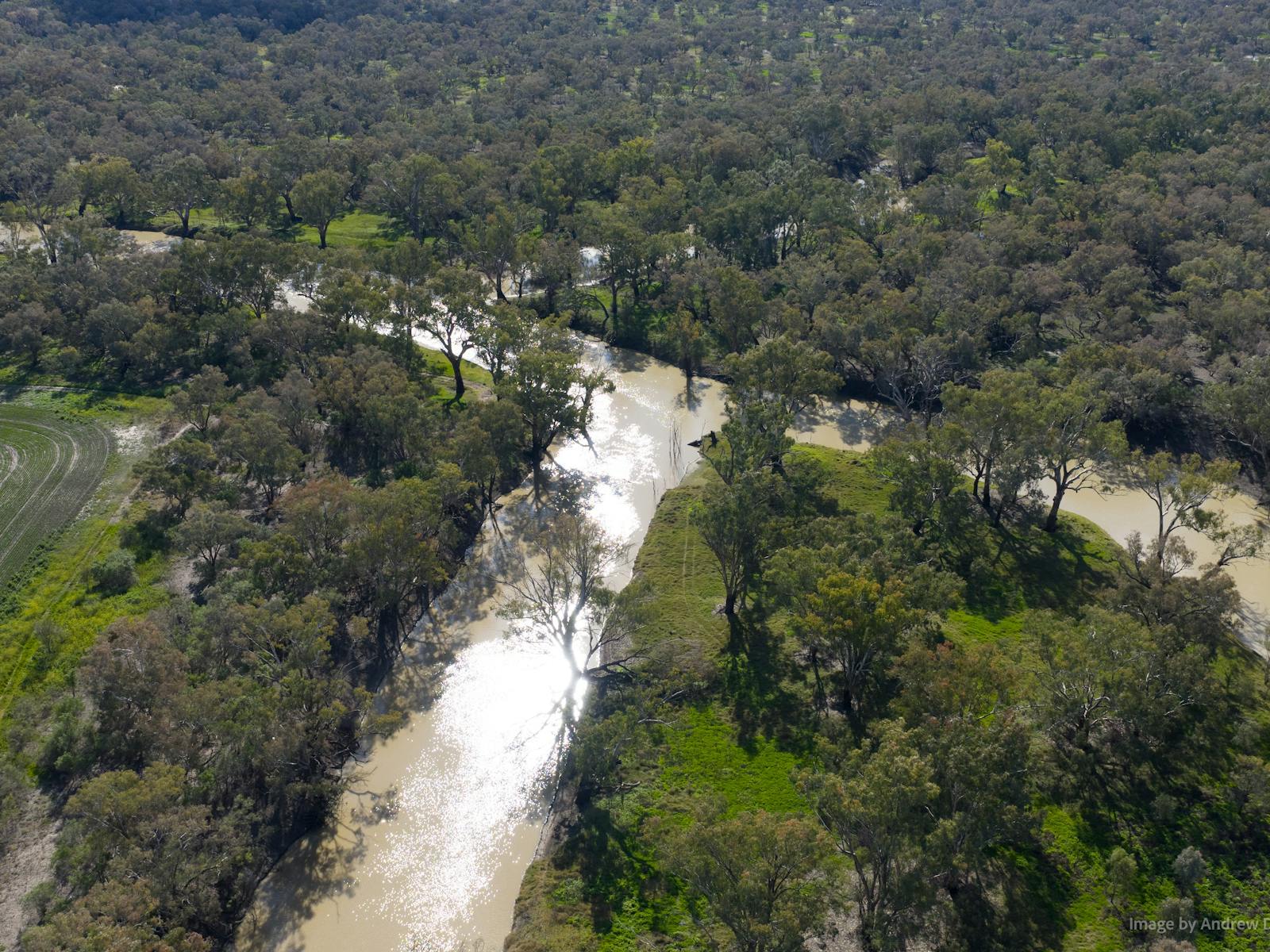 Naemi Riwar Barwon River | NSW Holidays & Accommodation, Things to Do, Attractions ...