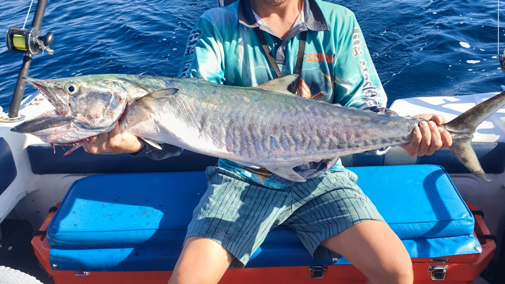 Magnetic Island Fishing Charters