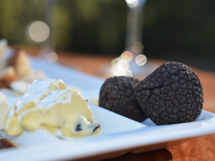 Enjoy a truffle meal to complete your experience