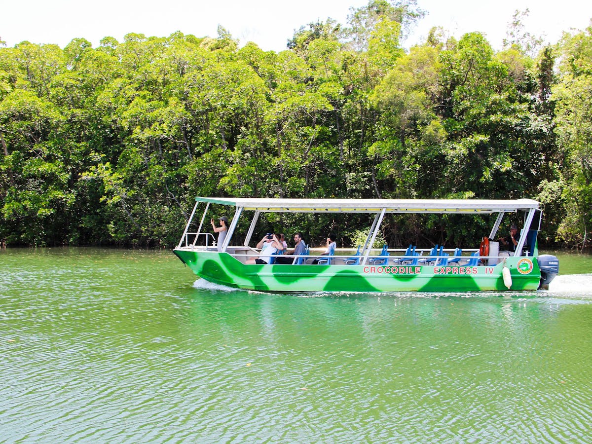 Daintree RiverCruise Jungle Tours and Trekking Cape Tribulation Tour