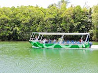 Daintree RiverCruise Jungle Tours and Trekking Cape Tribulation Tour