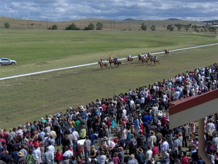 Race Day at Cooma