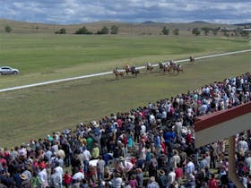 Cooma Sundowners Cup Cover Image