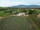 Schmidt's Strawberry Winery
