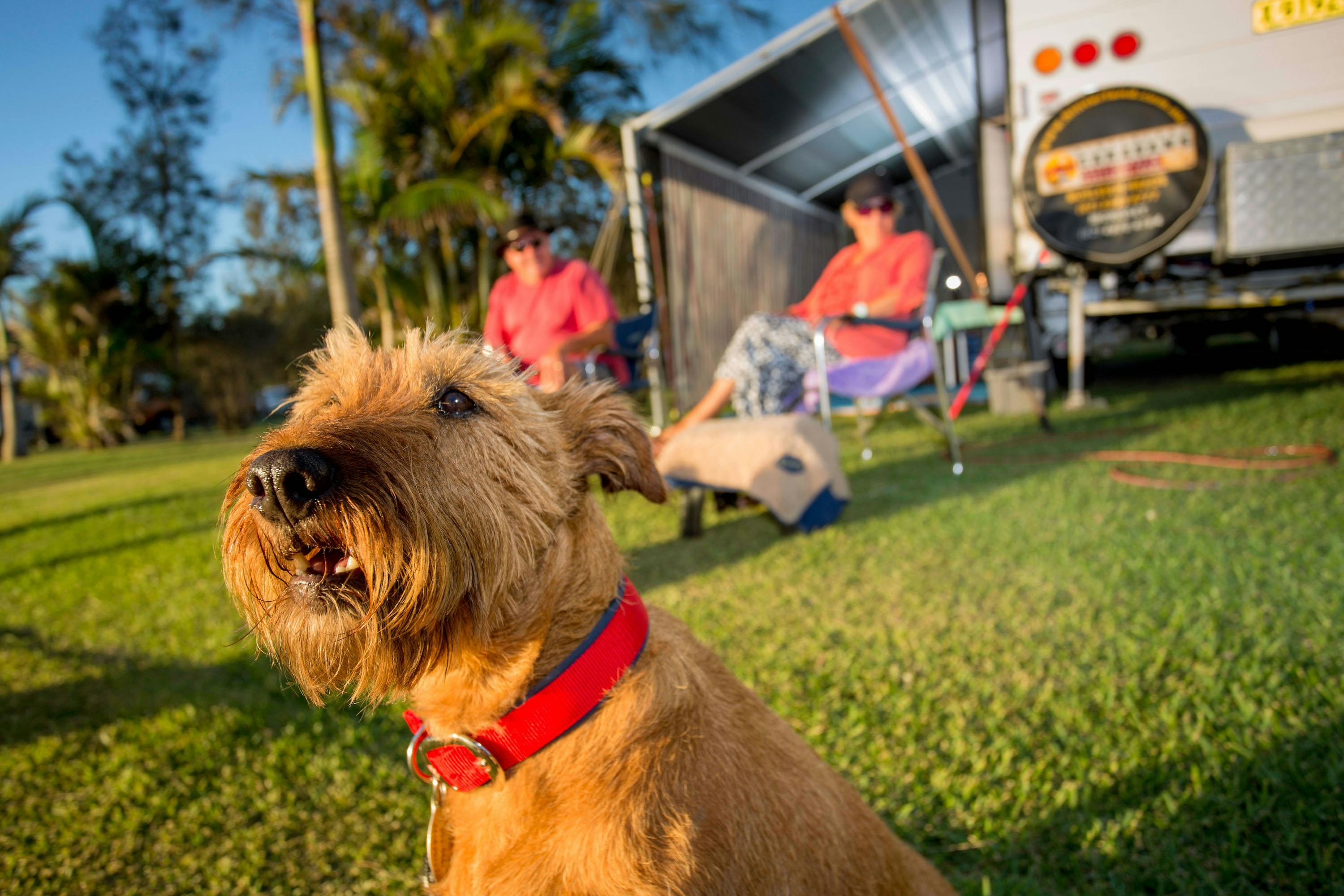 Secura Lifestyle Lakeside Forster Dog-Friendly Sites