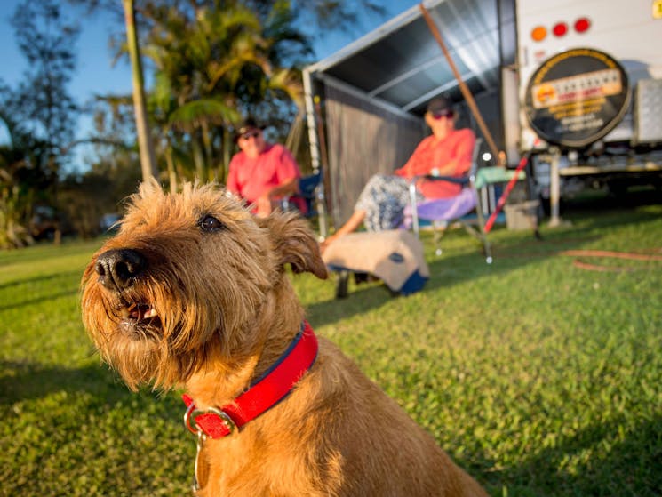 Secura Lifestyle Lakeside Forster Dog-Friendly Sites