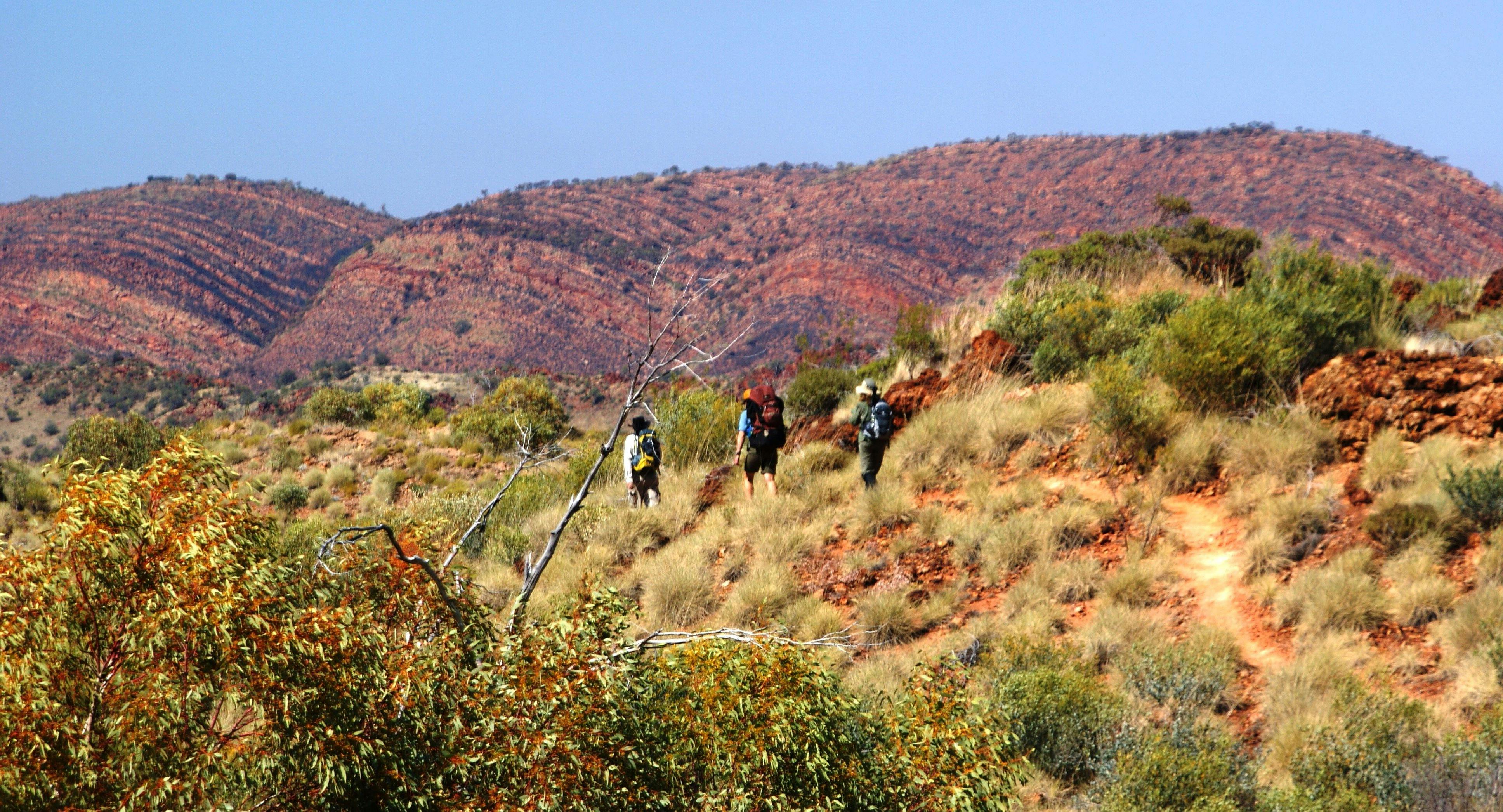 Best of the Larapinta Trail - 9 days