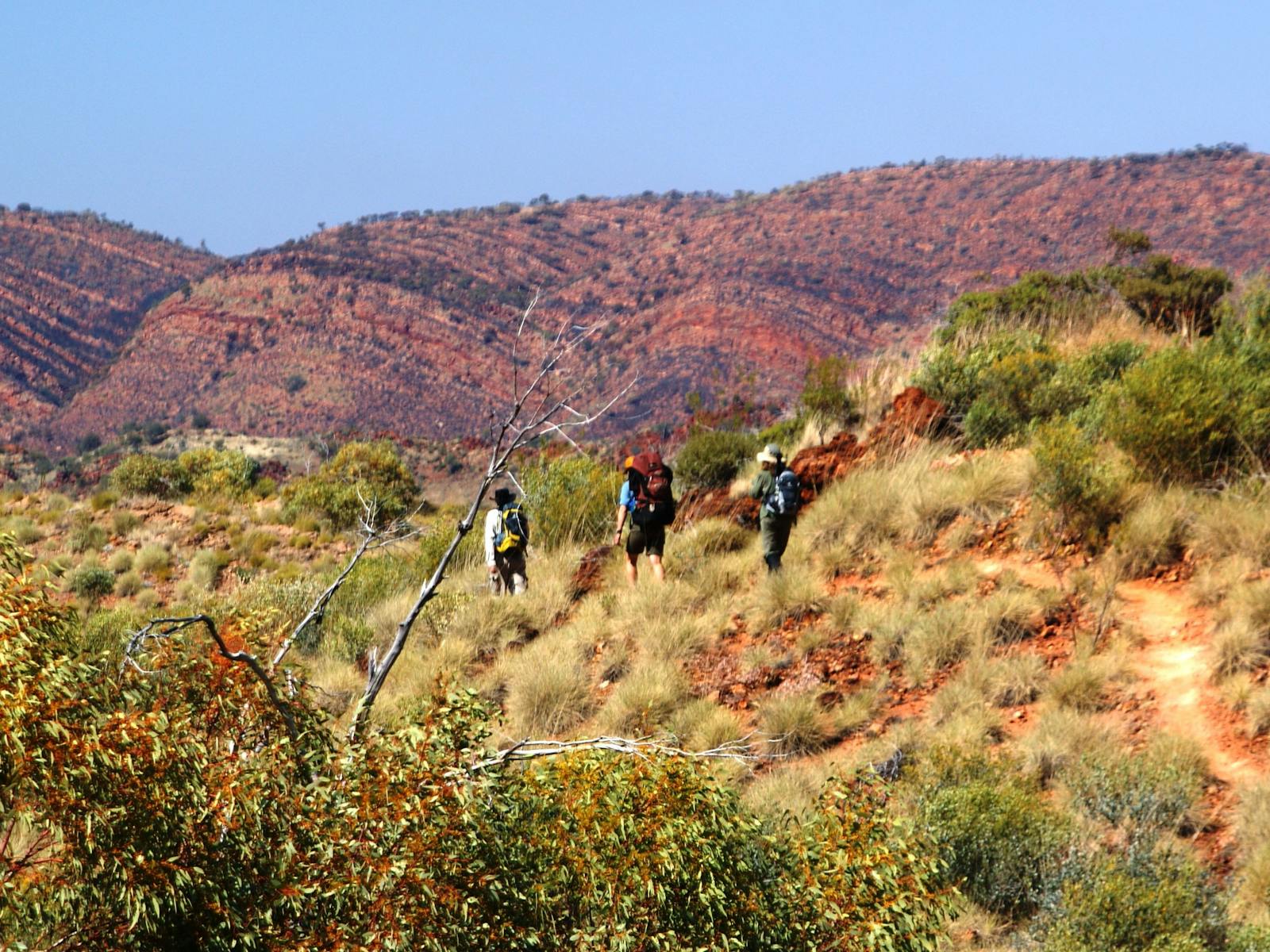 Larapinta Trail