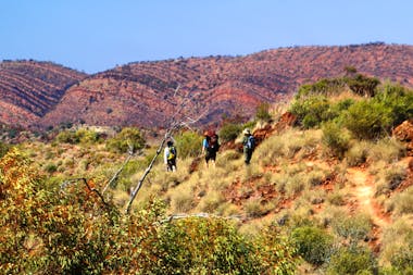 Best of the Larapinta Trail - 9 days