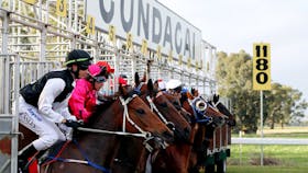 Snake Gully Cup start