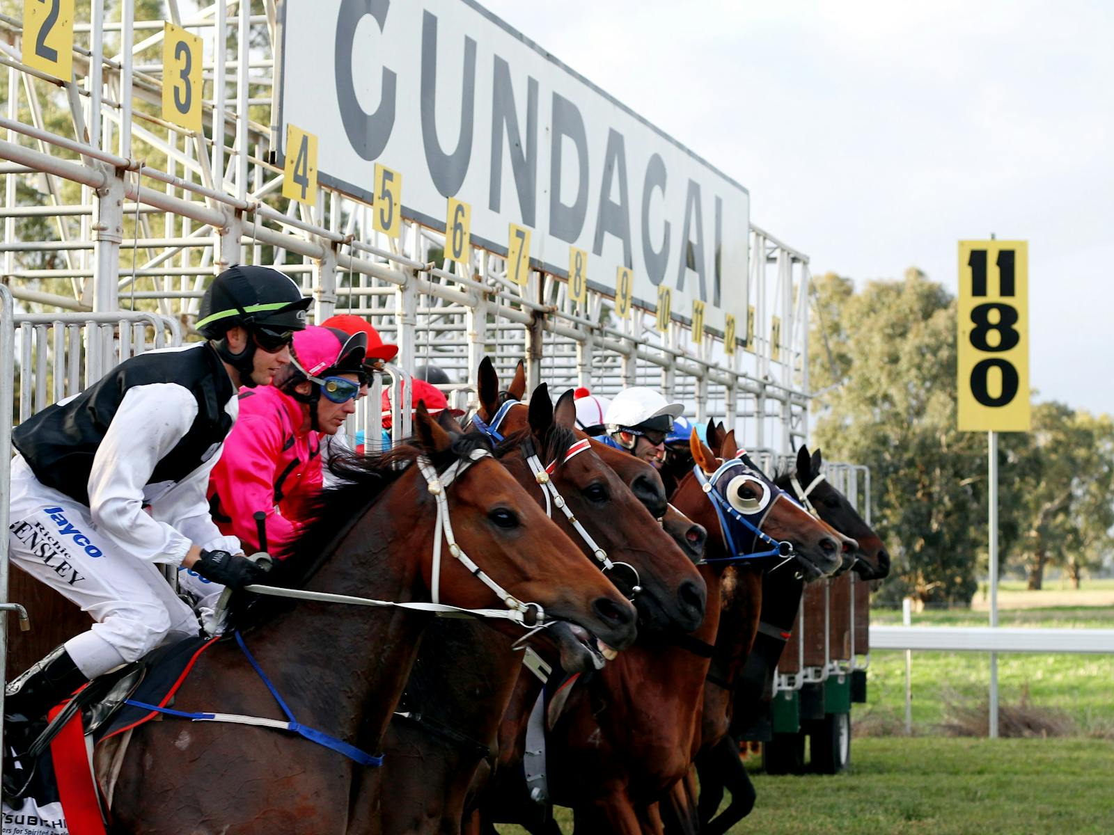 Image for Snake Gully Cup Carnival