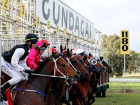 Snake Gully Cup Carnival Cover Image