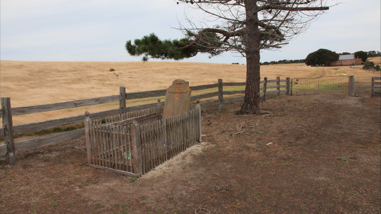 Drive Discovery Central Flinders Island