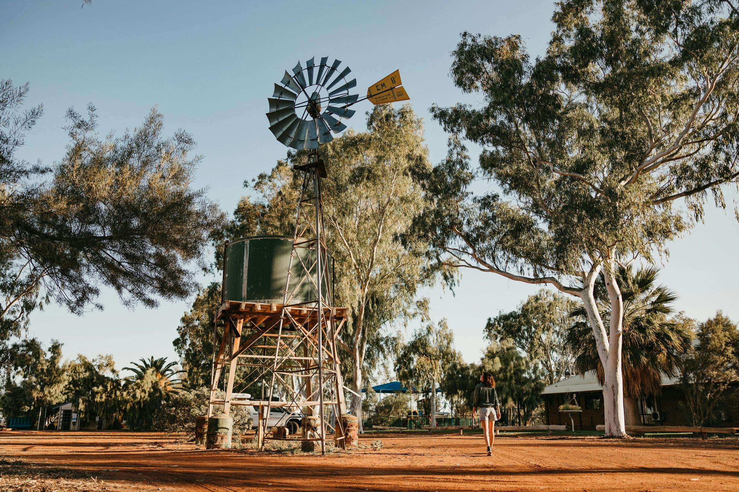 Northern Explorer Wildflower Trail, Western Australia