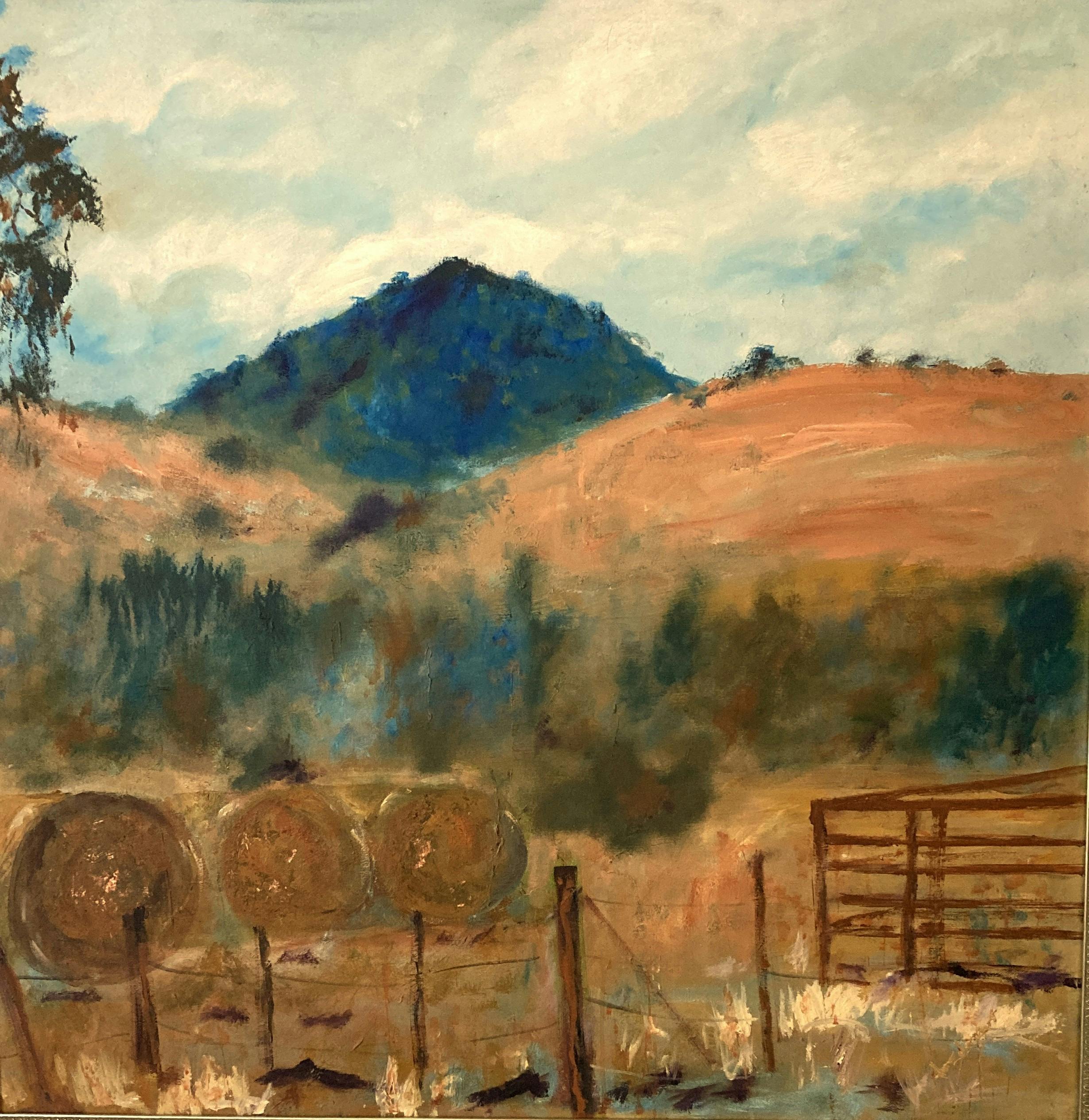 Mitchell Shire