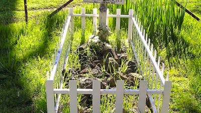 Johnny Gilbert's grave