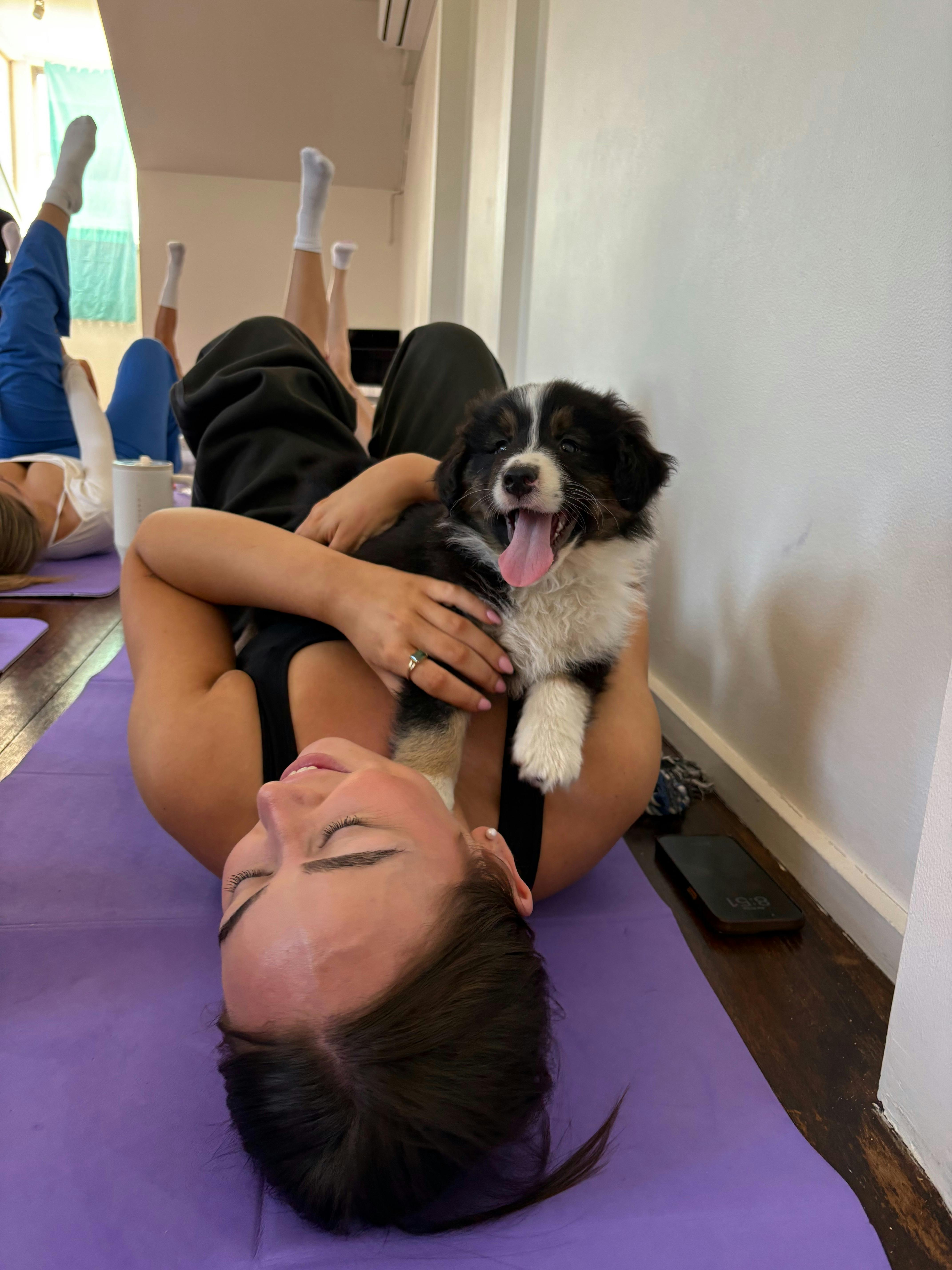 Human and puppy at a puppy yoga session in Sydney