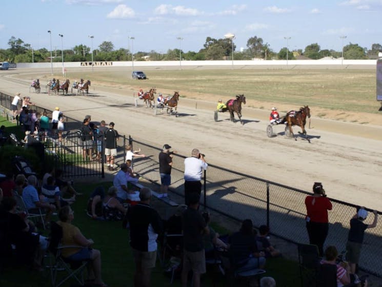 Echuca Trotts