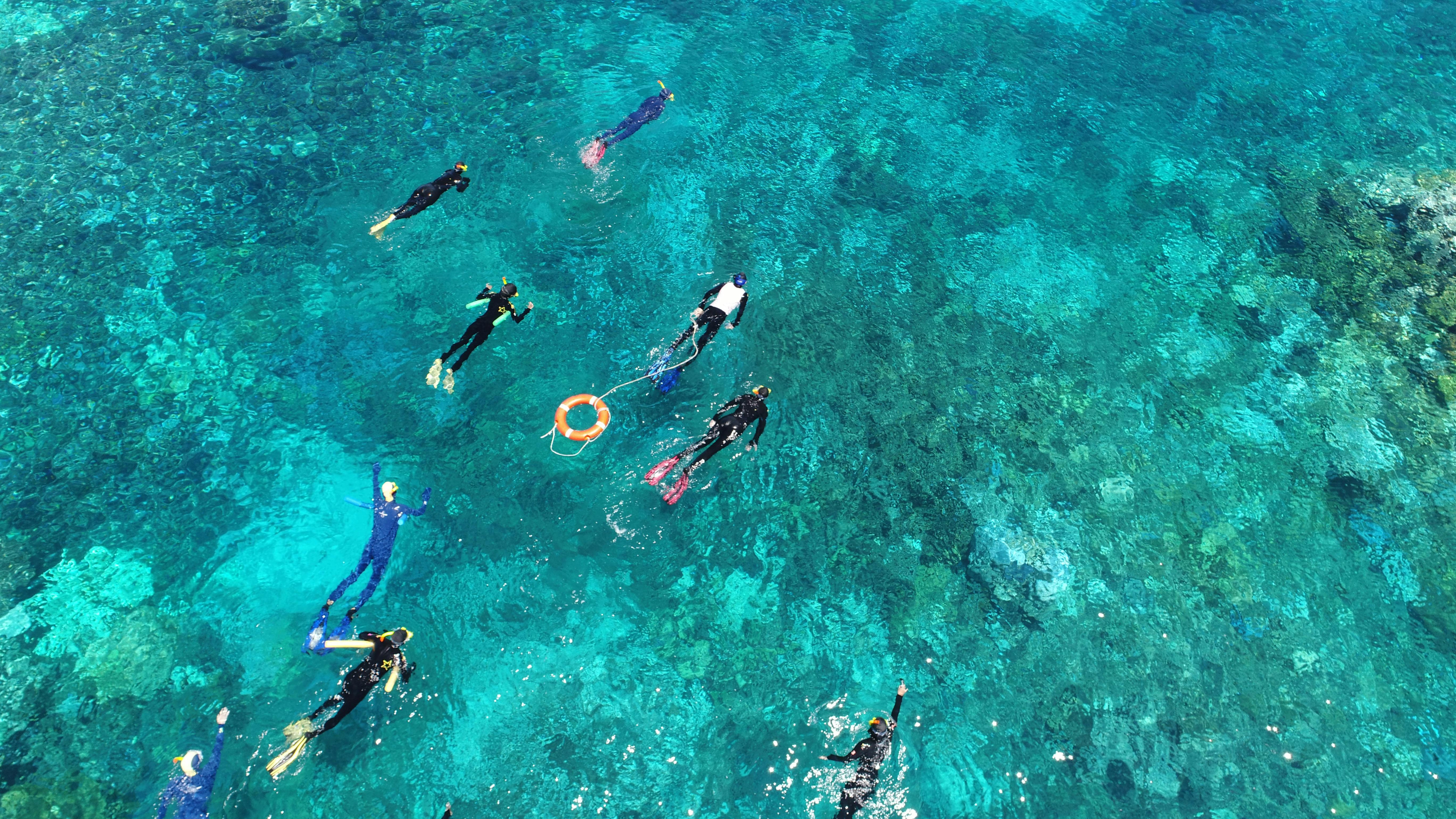 Guided Snorkel Tour