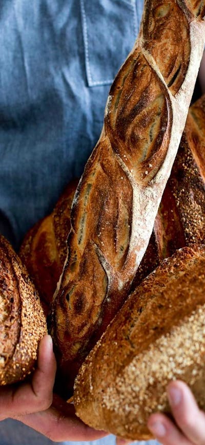 bread