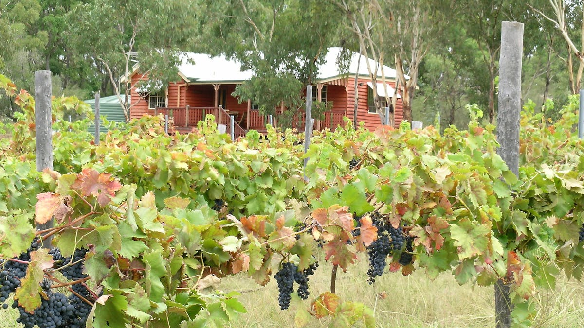 Fergies Hill Cottage sits overlooking the vineyard at Granite Ridge Wines.