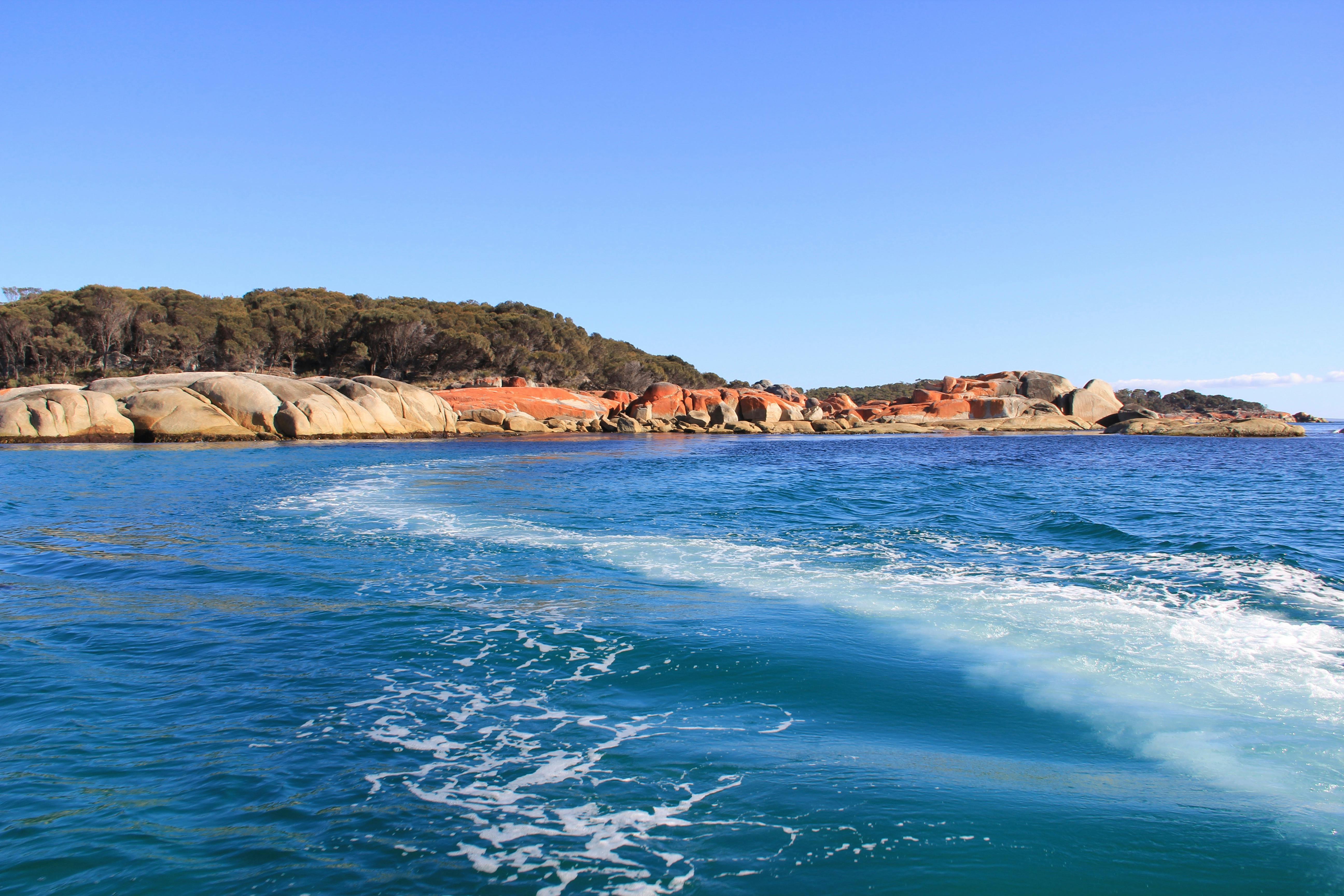 lichen Bay of Fires