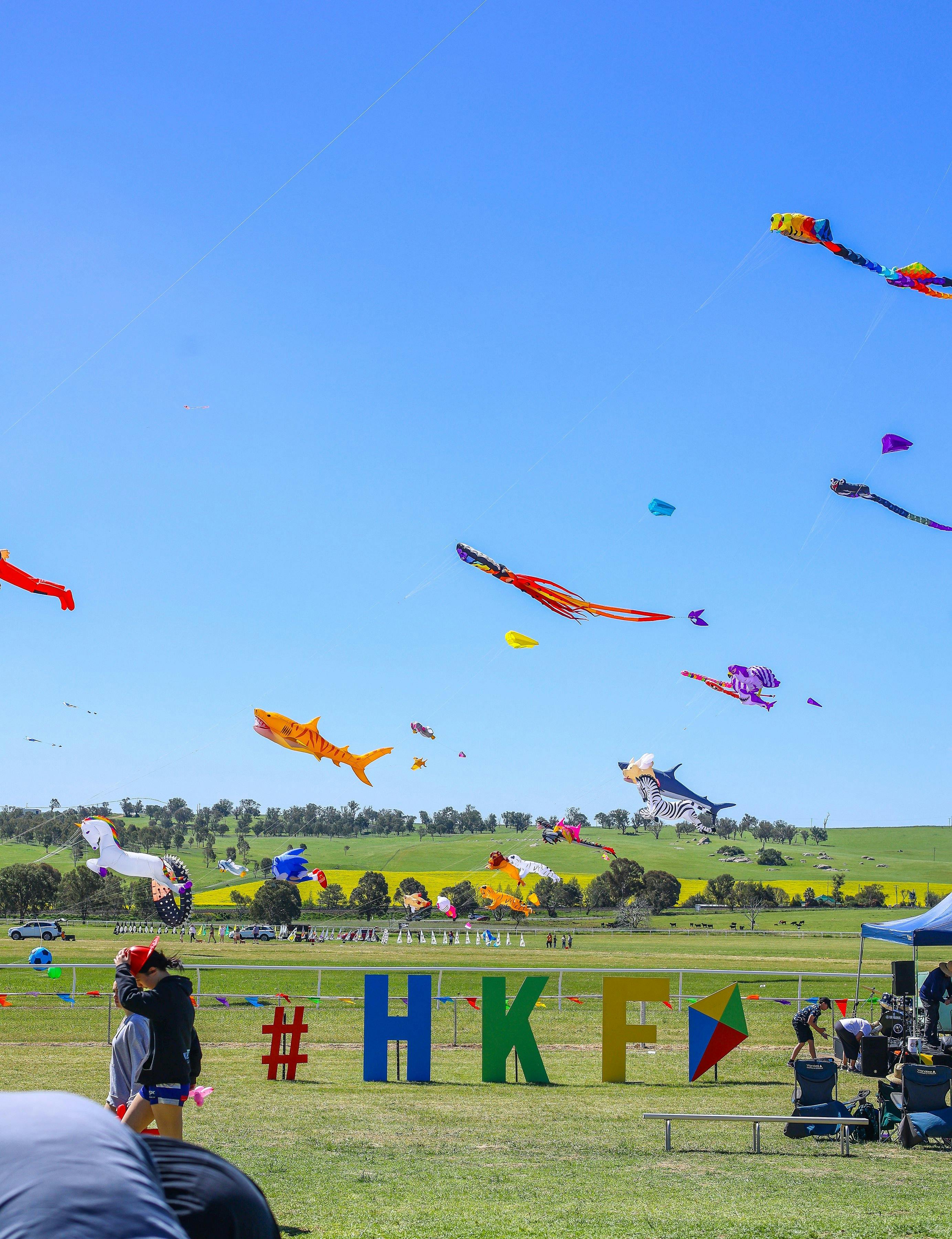 Harden Kite Festival