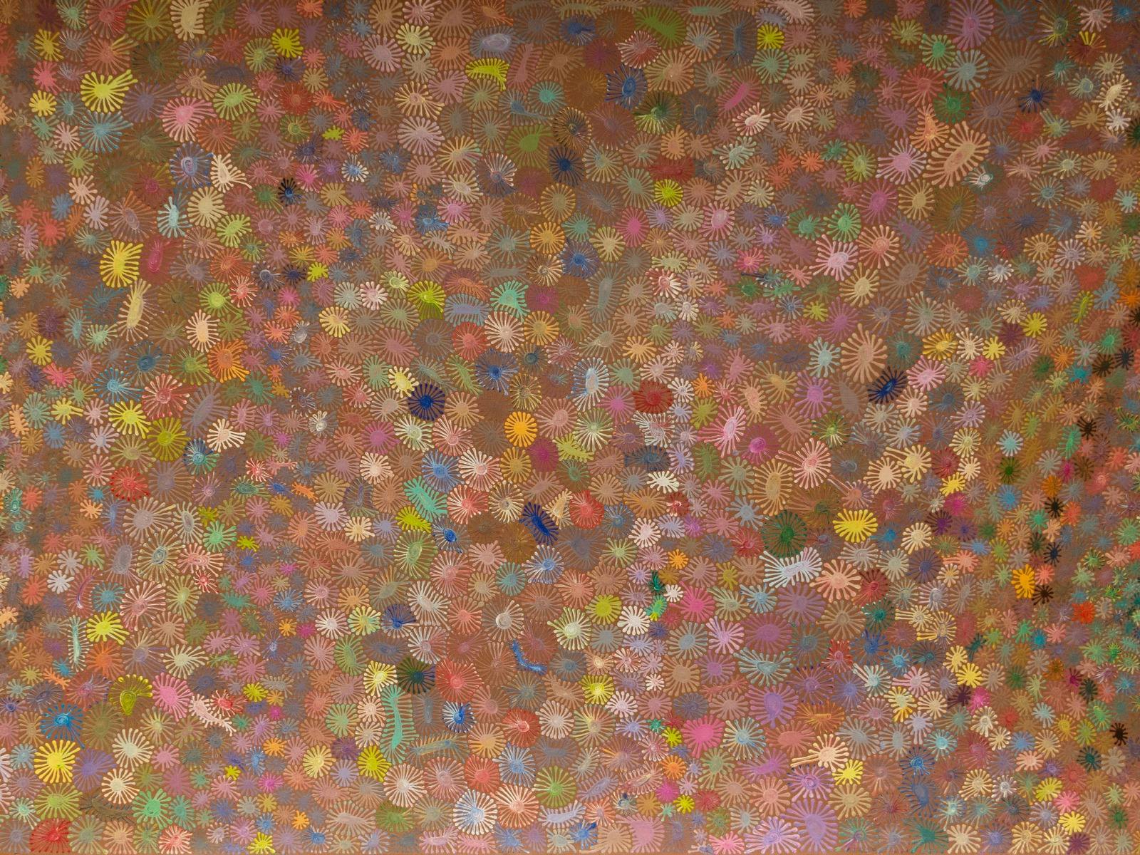 Bush Flower, Fiona Corbett