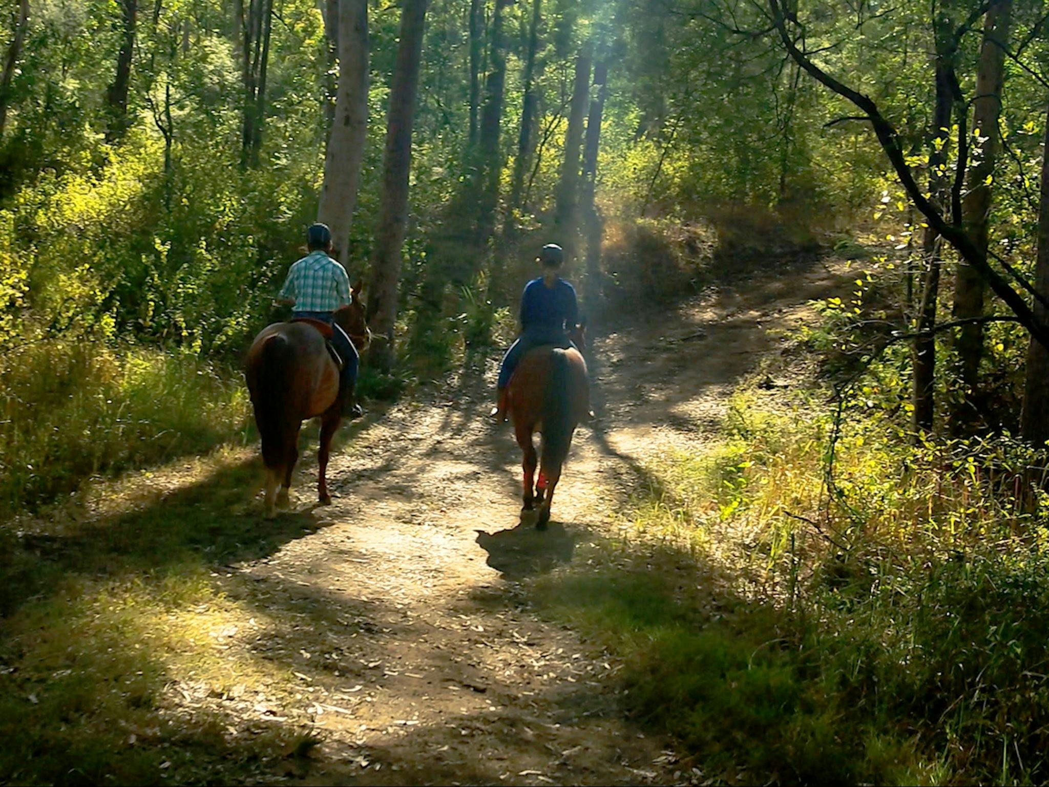 Goolman lookout trail