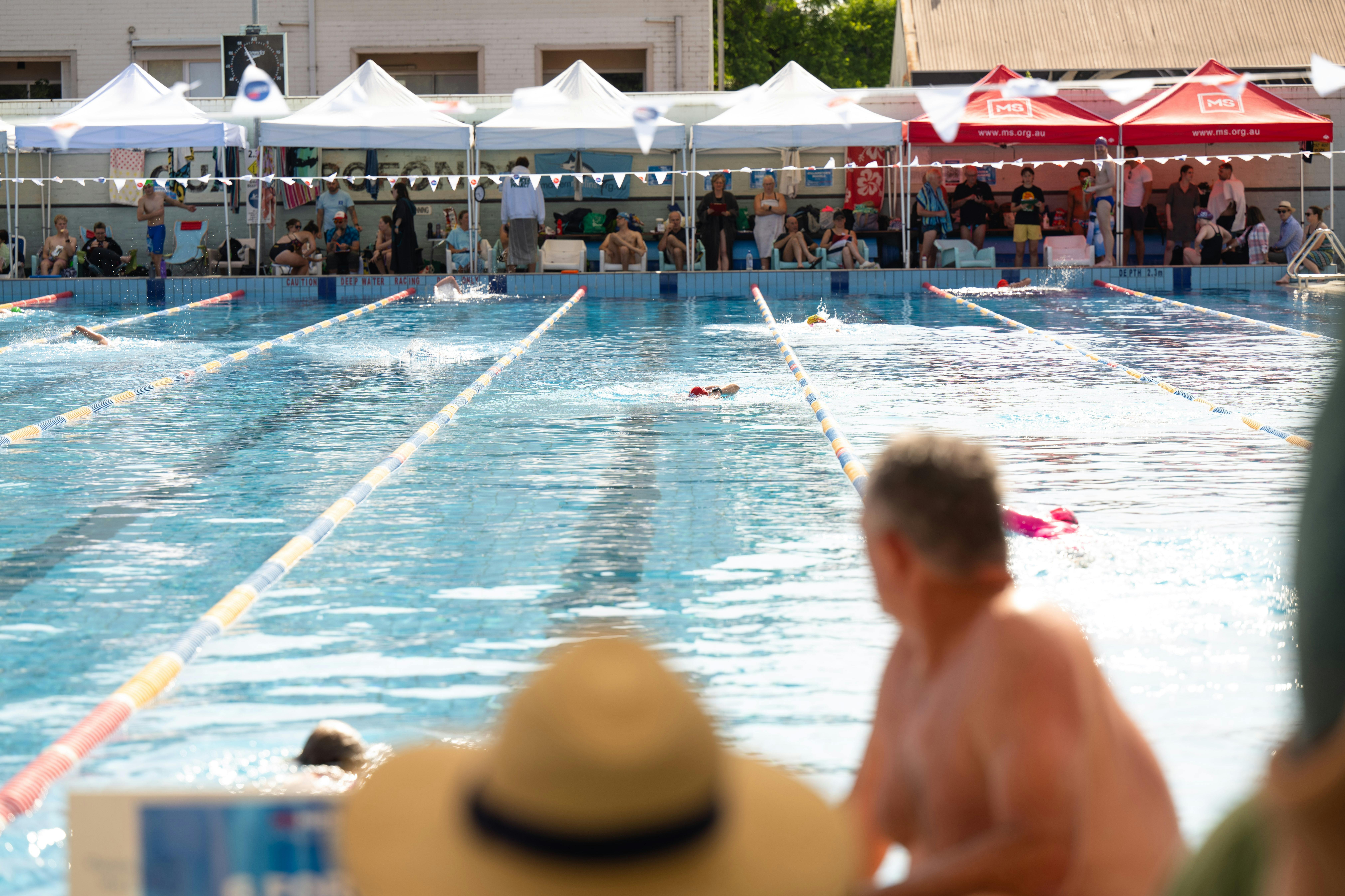 People swimming in lanes in a pool