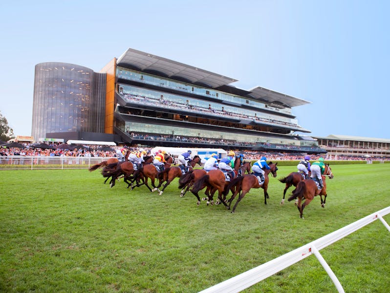 Horses racing at Royal Randwick racecourse with the grandstand in the