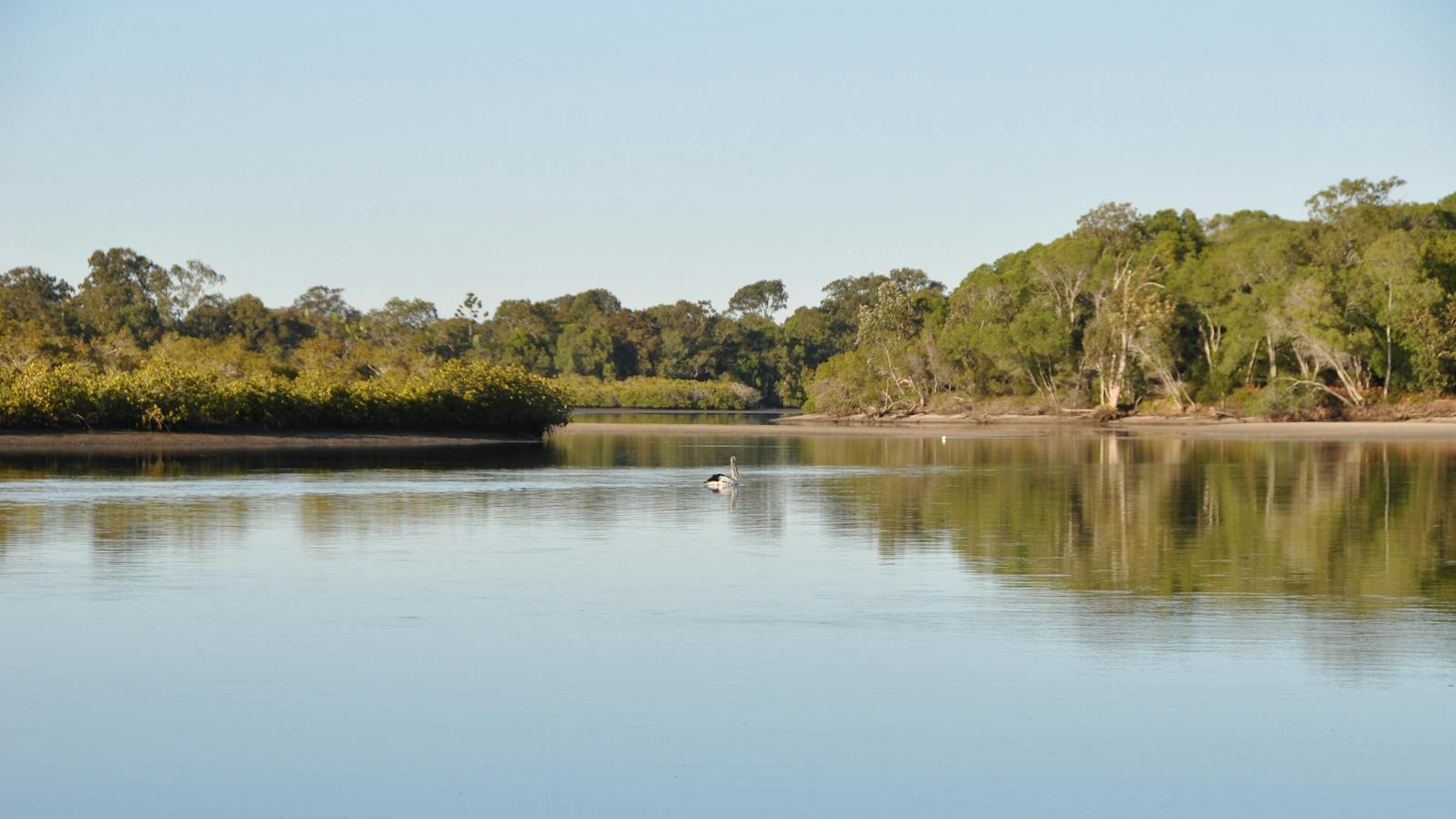 River view Noosa Biosphere