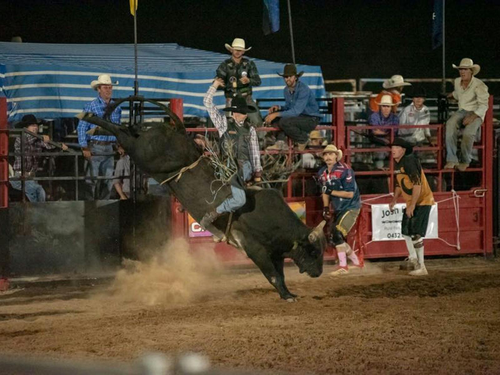 Image for Black Opal Bull and Bronc Ride
