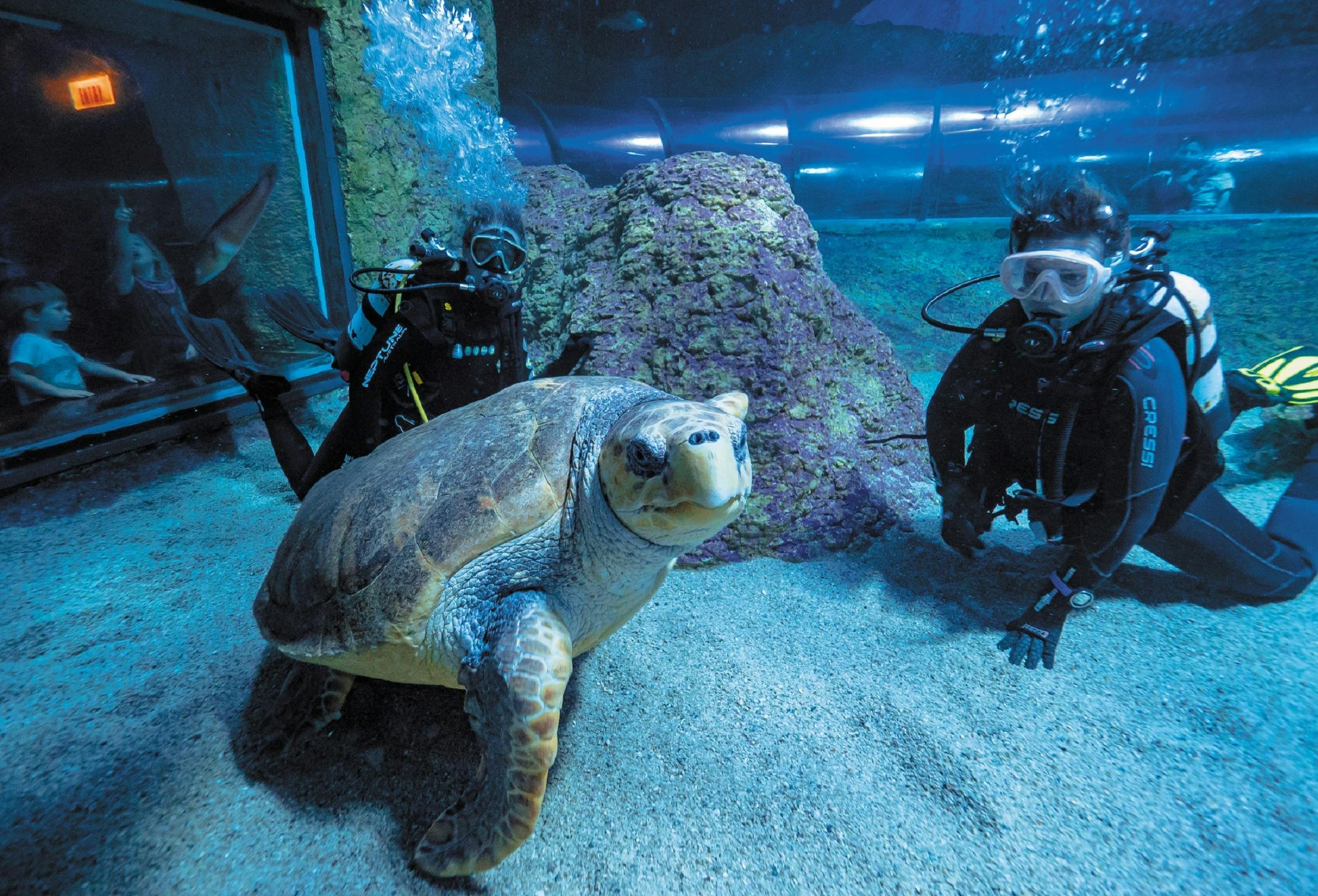 AQWA - The Aquarium of Western Australia